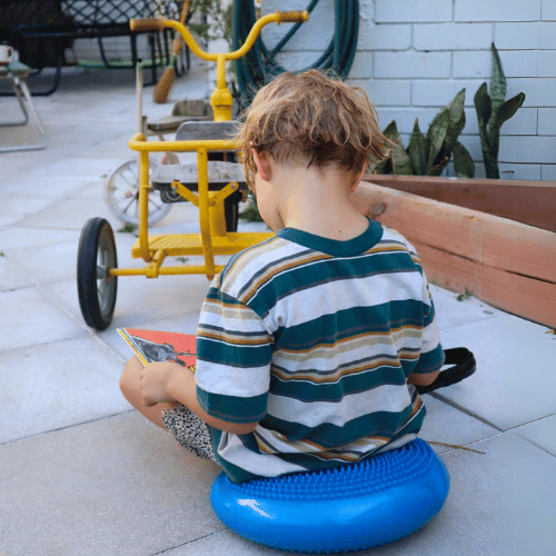 NeuroCalm™ Therapeutic Bundle