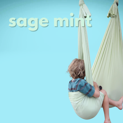 NeuroCalm™ Premium Sensory Swing