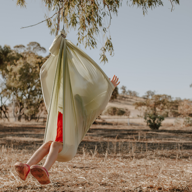 NeuroCalm™ Premium Sensory Swing