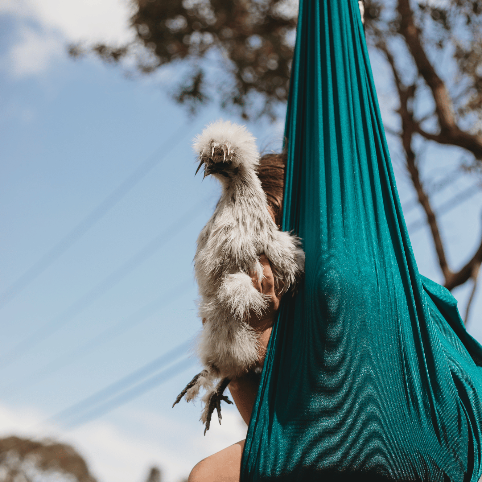 NeuroCalm™ Premium Sensory Swing