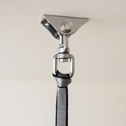 Swing Ceiling Mount